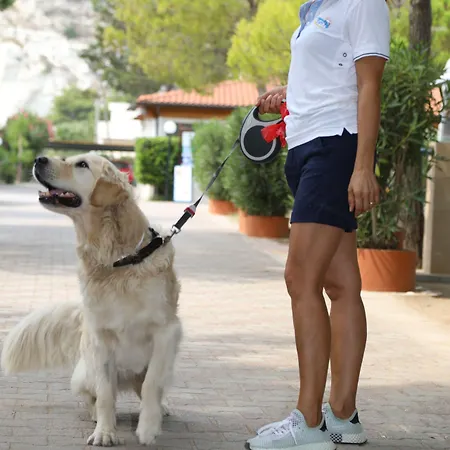 مكان تخييم Euro'92