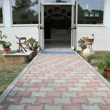 Euro'92 2* فيستَ