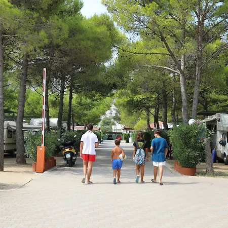 مكان تخييم Euro'92