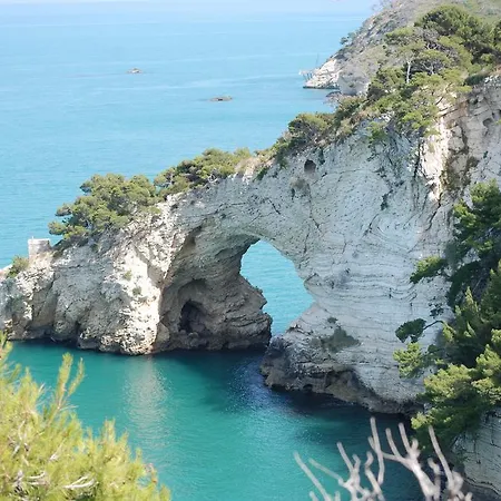 Euro'92 مكان تخييم