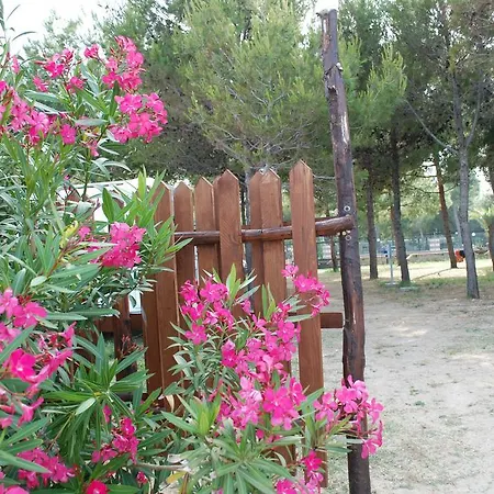 مكان تخييم Euro'92 فيستَ