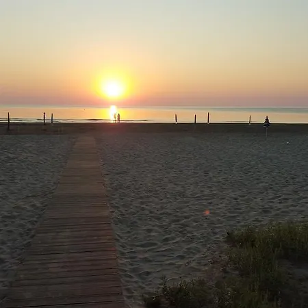 مكان تخييم Euro'92 فيستَ