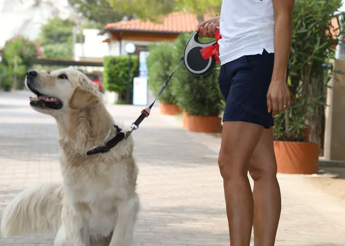 Parque de Campismo Euro'92