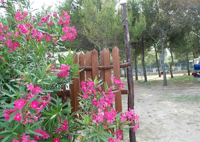 Parque de Campismo Euro'92 Vieste