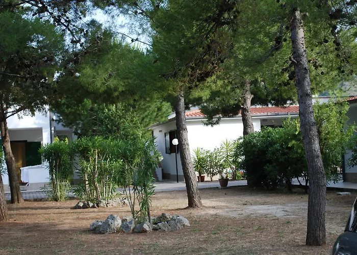 Euro'92 אתר קמפינג