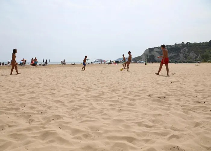 Euro'92 2*